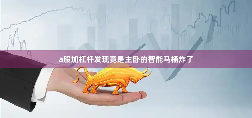 a股加杠杆发现竟是主卧的智能马桶炸了